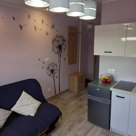 Lägenhet Mieszkanie 16m2 Orunia *