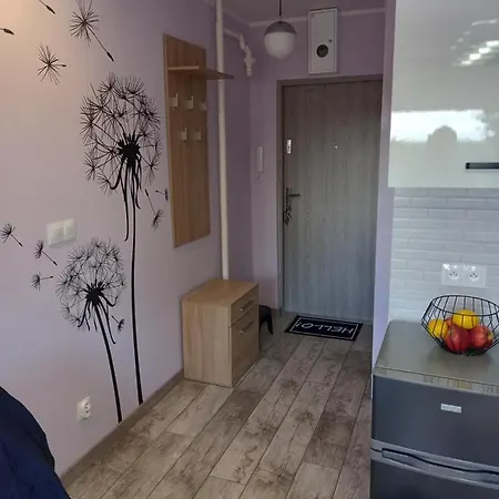 Mieszkanie 16m2 Orunia Lägenhet *